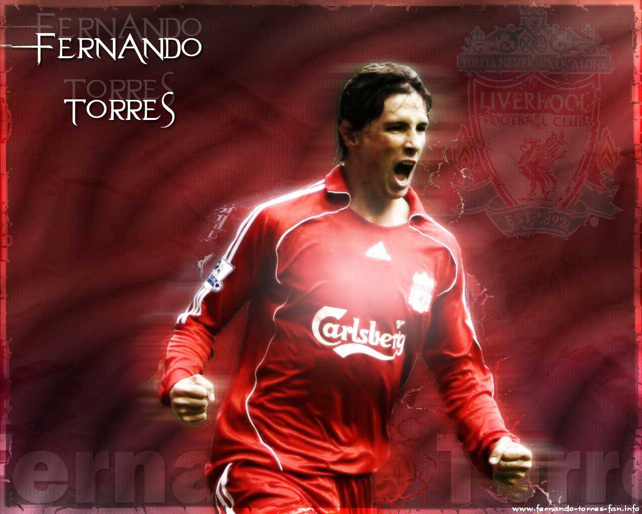 Fernando Torres Best Soccer Player
